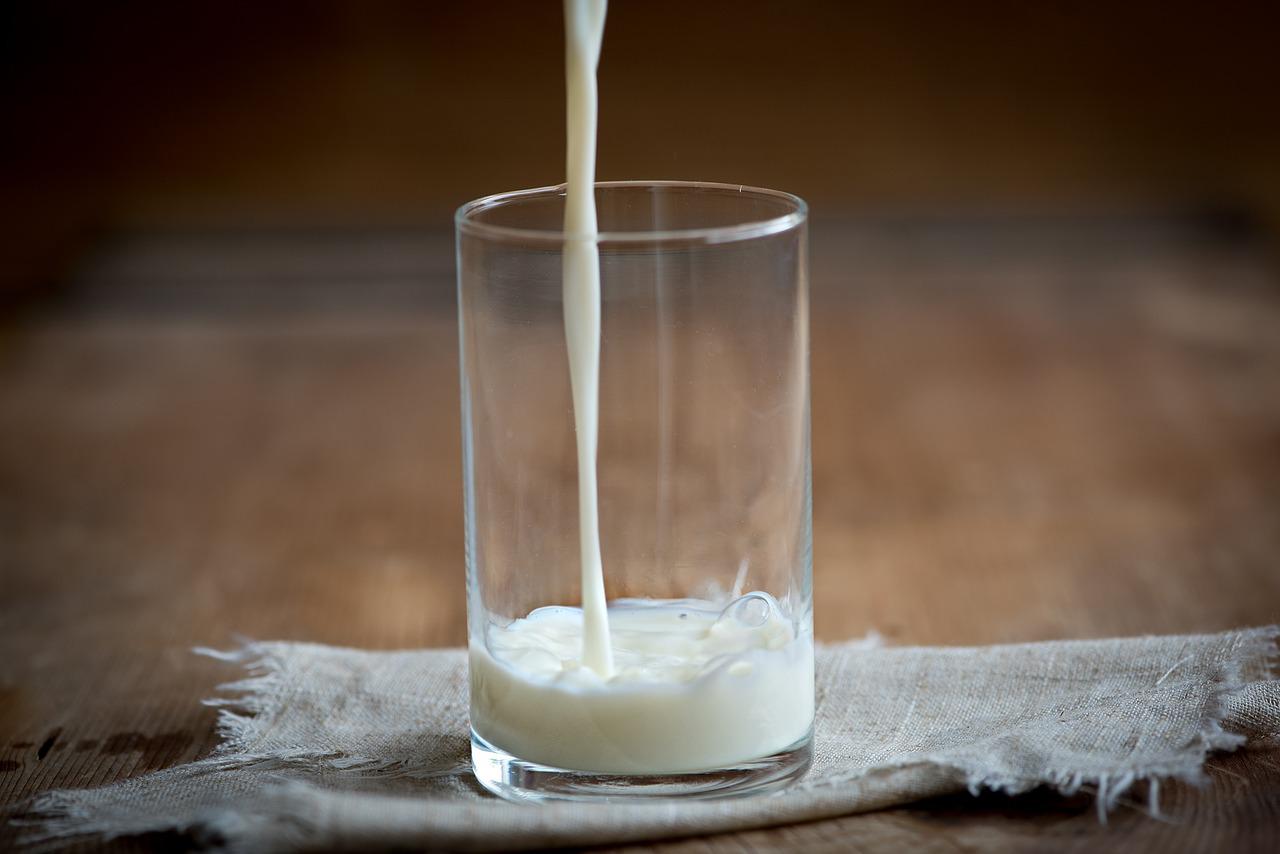 mleko jako naturalny probiotyk